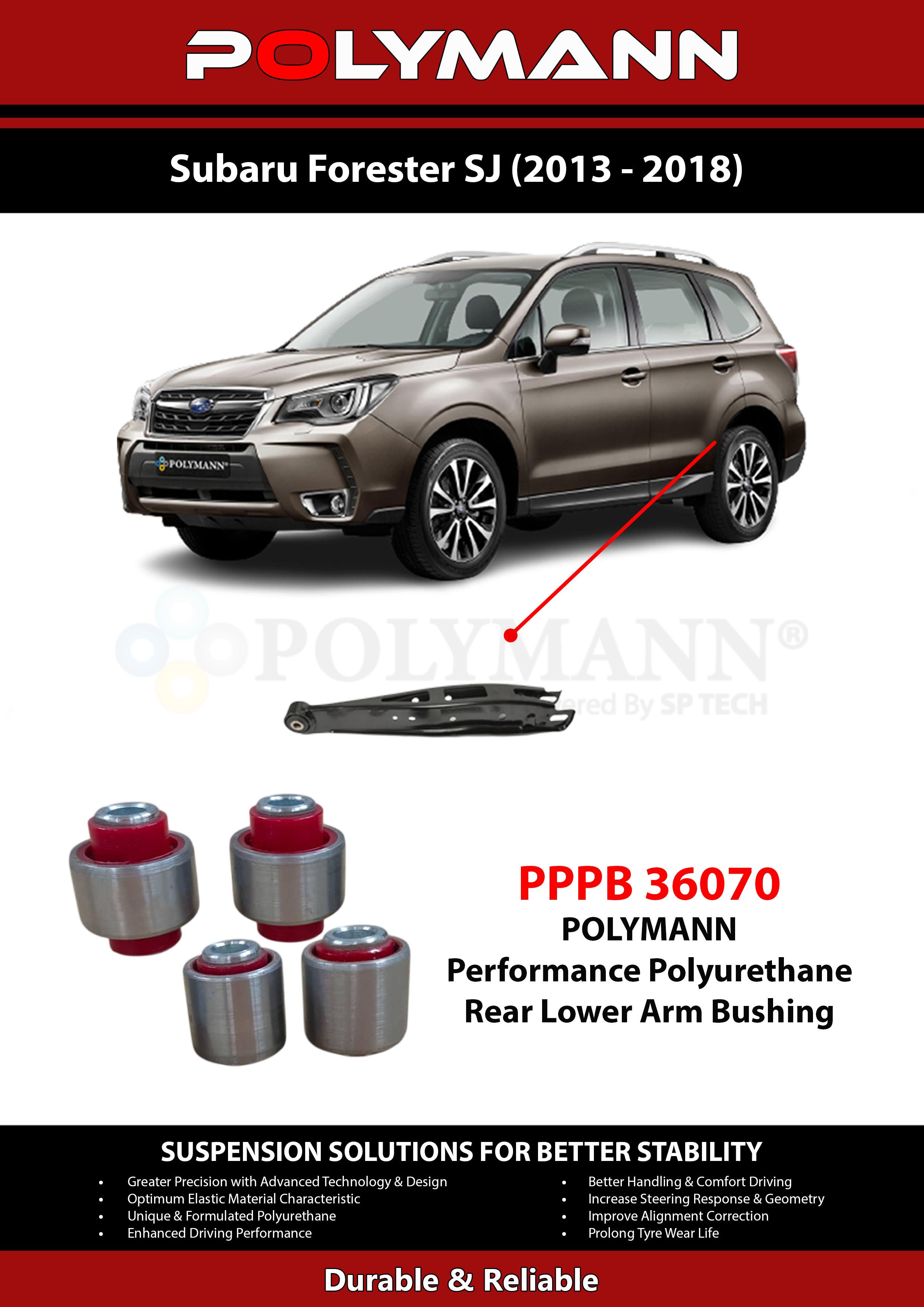 Rear Lower Arm Bushing